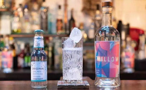 低濃度酒精飲料的藍(lán)海戰(zhàn)略 品牌創(chuàng)建與營銷新路徑